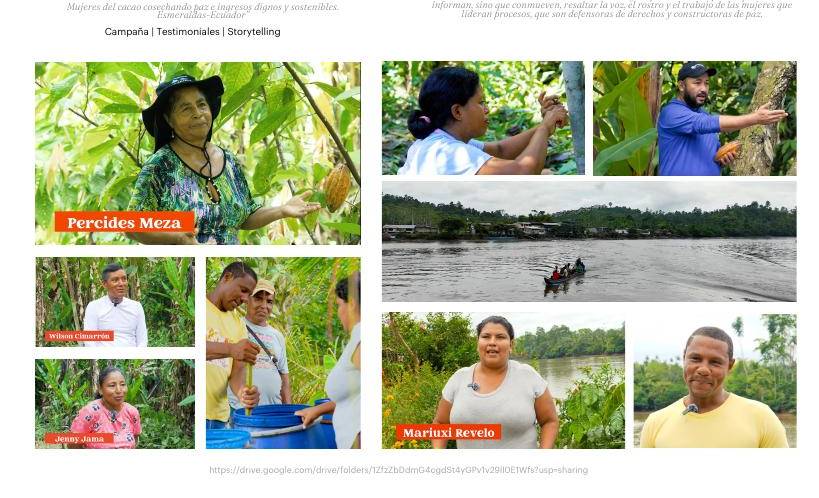 Mujeres del cacao cosechando paz