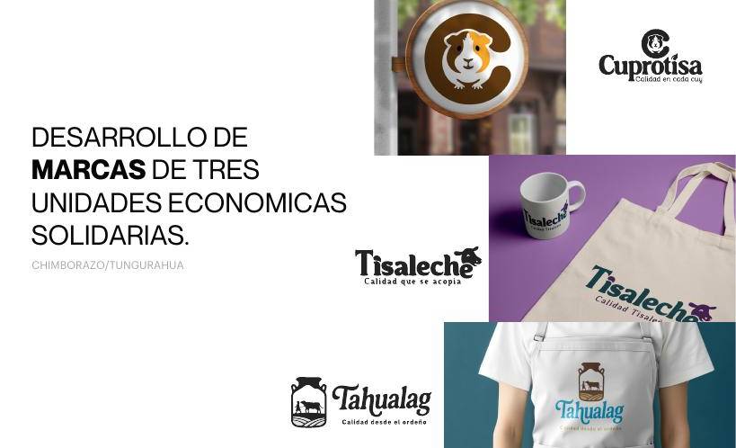 Identidad de 3 marcas solidarias