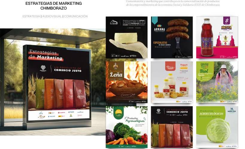 Estrategias de marketing · Chimborazo